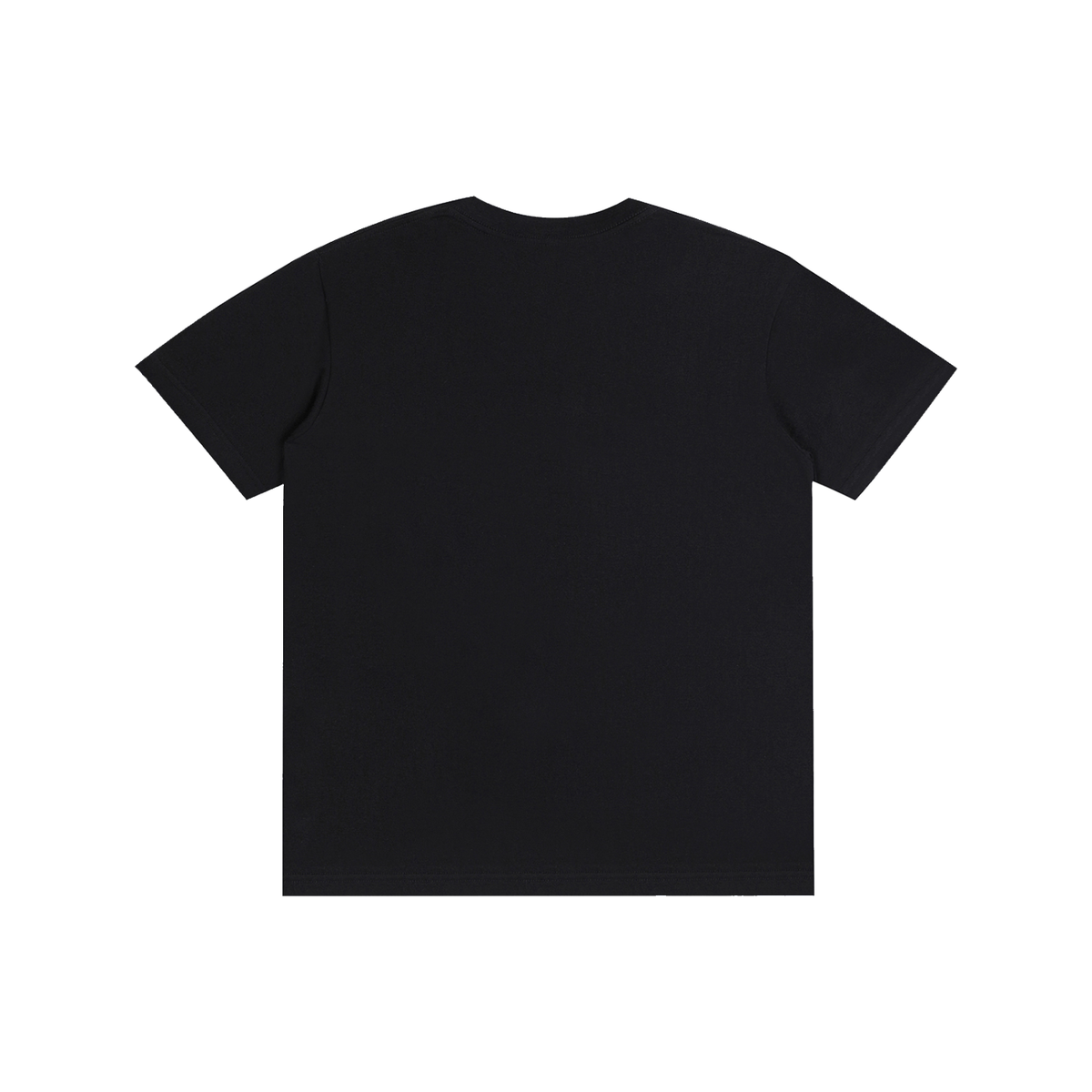 Flyer Pure Cotton Unisex T-Shirt