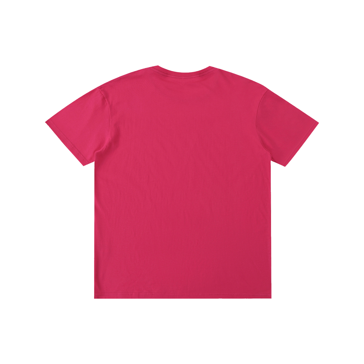 Flyer Pure Cotton Unisex T-Shirt